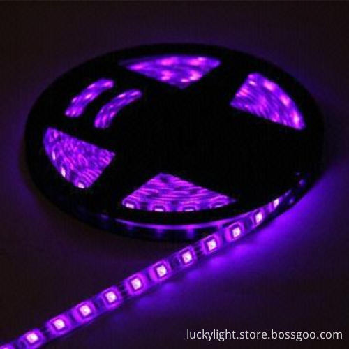 Flexible LED Strip Light 3528 Purple